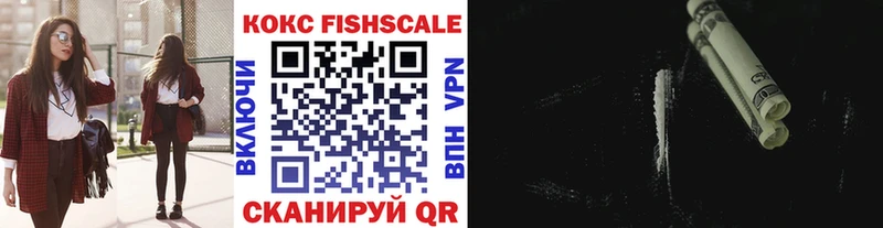 Кокаин Fish Scale  KRAKEN зеркало  Елизово  где купить наркотик 