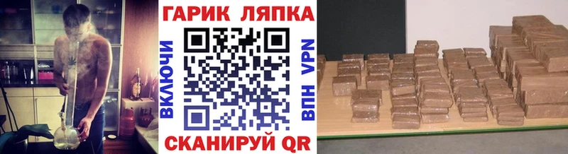 как найти закладки  Елизово  Гашиш VHQ 
