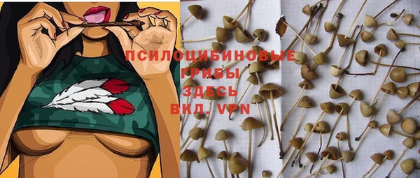 меф Абаза